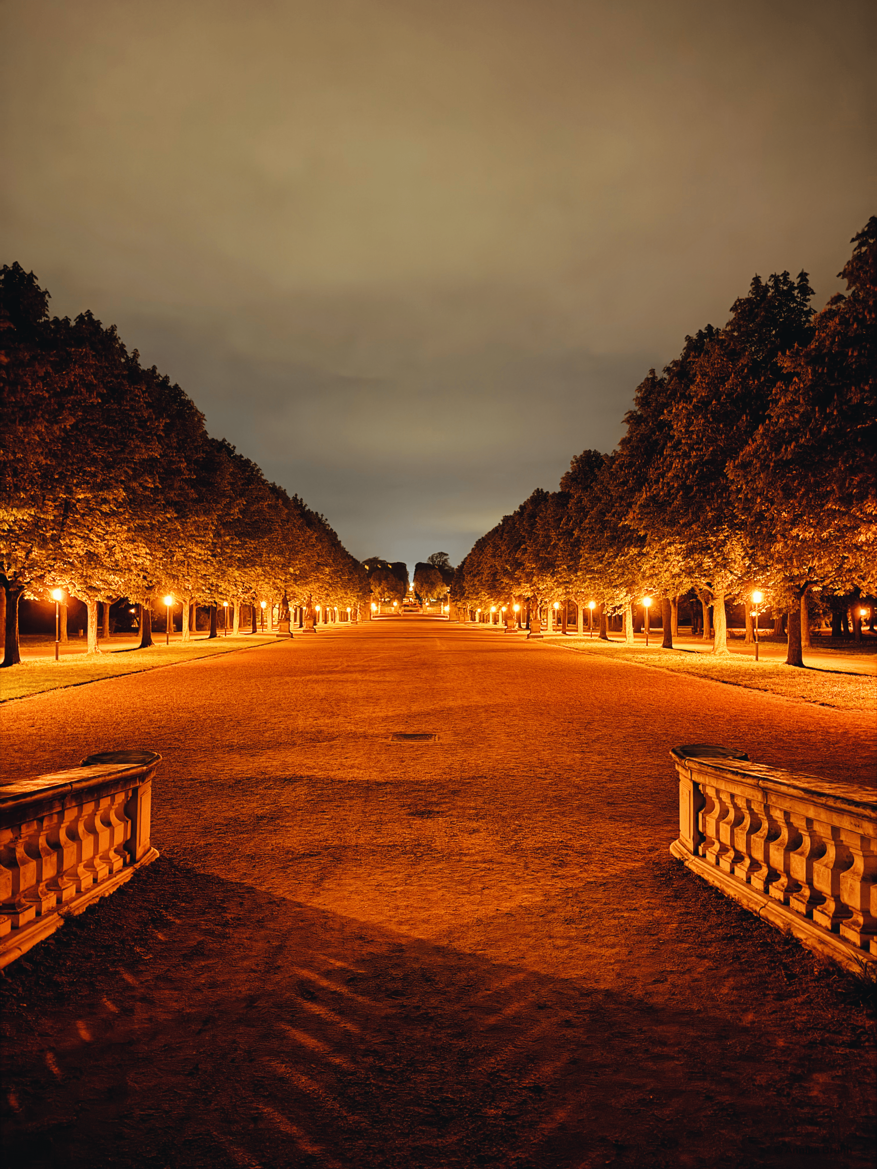 Allee zum Schloss bei Nacht